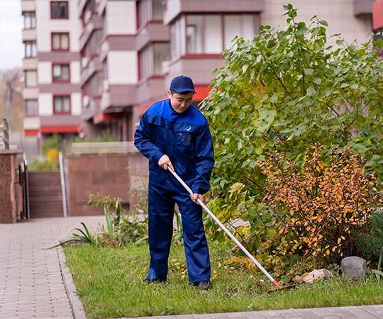Уборка территории в Камышине и  Волгоградской области